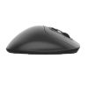 Wireless Ergonomic Mouse Delux MT1 DB BT+2.4G (black)