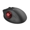 Wireless Ergonomic Mouse Delux MT1 DB BT+2.4G (black)