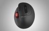 Wireless Ergonomic Mouse Delux MT1 DB BT+2.4G (black)