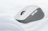 Wireless Gaming Mouse Delux M729DB BT+2.4G 16000DPI (white)