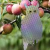 Bagoly alakú csillogó, zörgő, fényvisszaverő madárriasztó holografikus bevonattal * szőlőbe, gyümölc