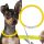 Méretre szabható világító kutya nyakörv * figyelemfelkeltő biztonsági nyakörv esti sétákhoz bármilye