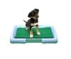 Namvi PUPPY POTTY PAD - KISÁLLAT WC