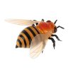 RC távirányítós méh + távirányító