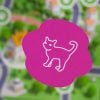 MUDUKO Egy bajba jutott macskáról családi játék 8+
